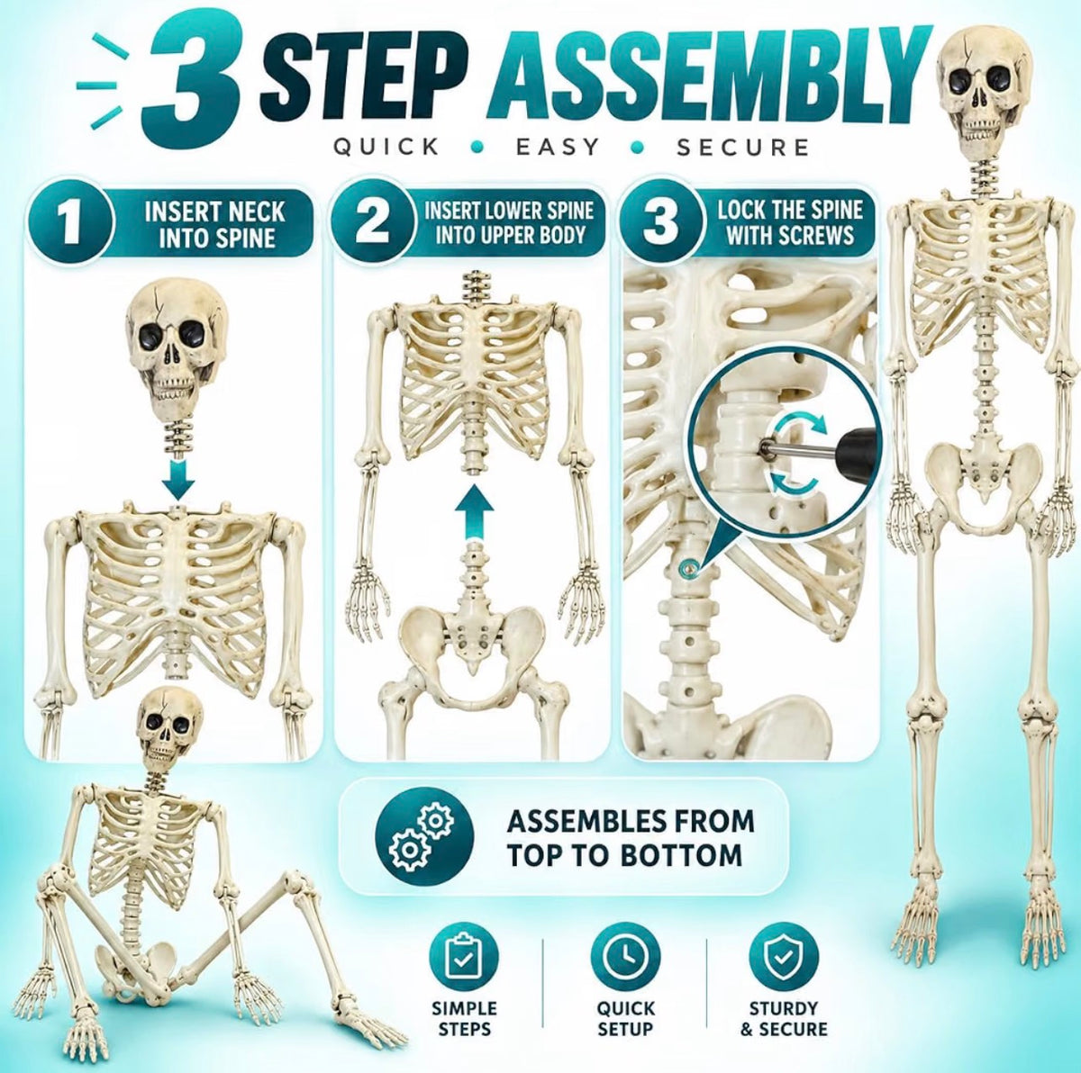 165cm Poseable Skeleton Halloween Decoration | Minja Superstore