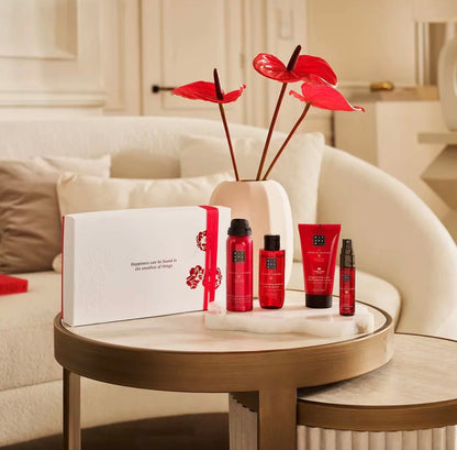 RITUALS The Ritual of Ayurveda Small Gift Set Shower Foam Cream Mist Oil