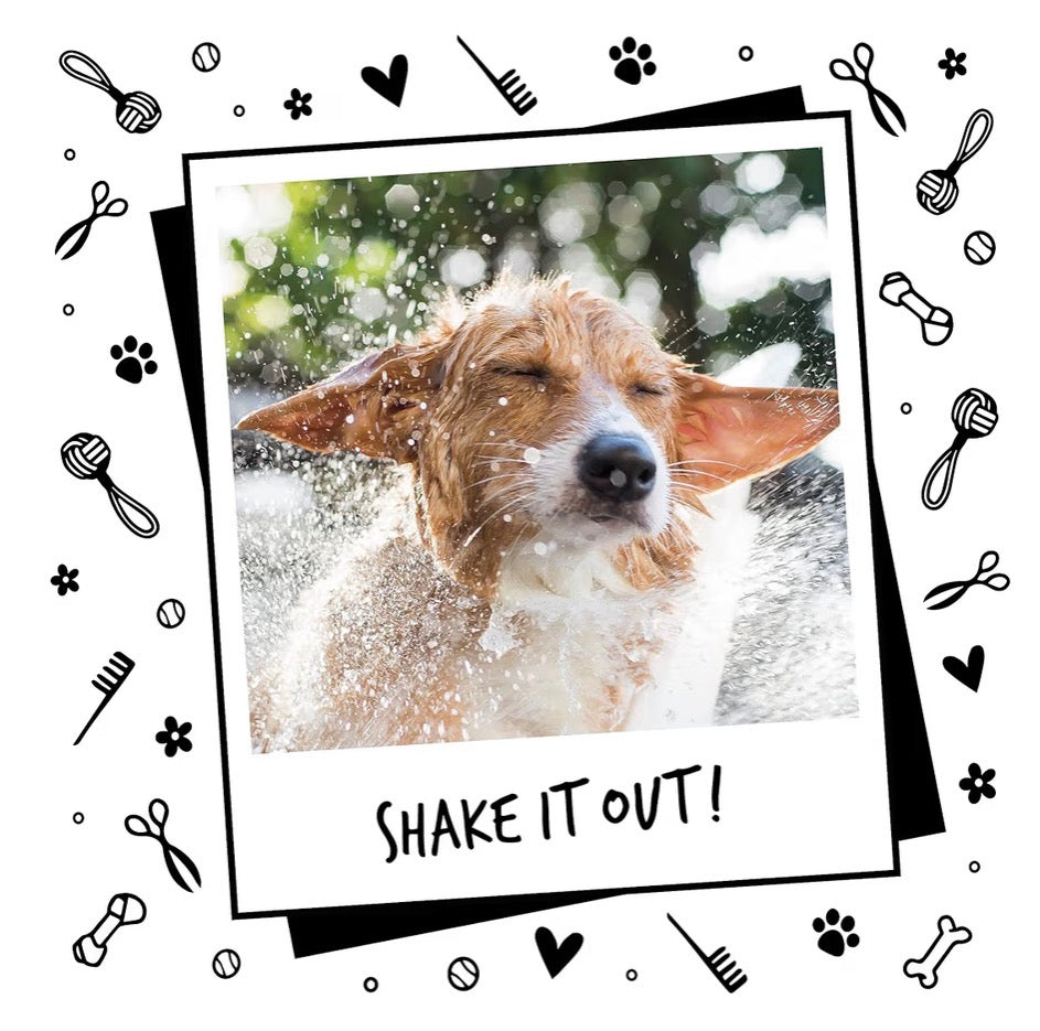 Bugalugs Deshedding Shampoo for Dogs