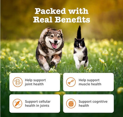 Zesty Paws Hip, Joint, Skin & Coat Salmon Oil for Cats & Dogs 250ml