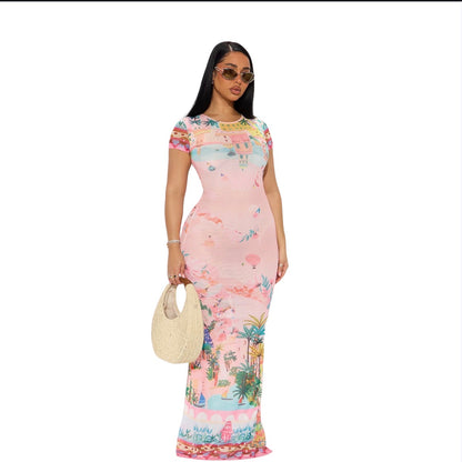 Puerto Rico Mesh Maxi Dress Pink Combo