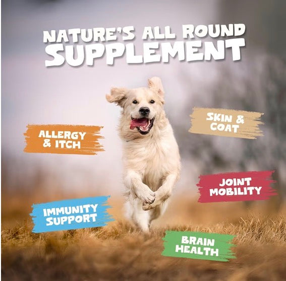 Pets Purest Scottish Salmon Oil 1000ml
