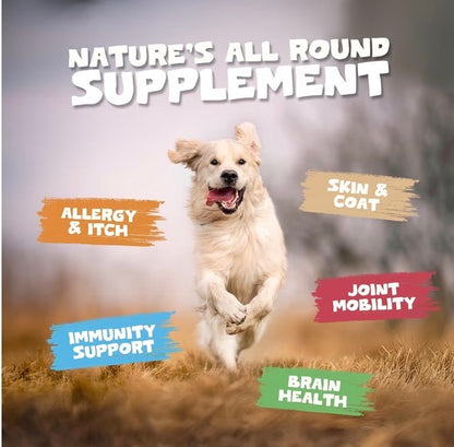 Pets Purest Scottish Salmon Oil 1000ml