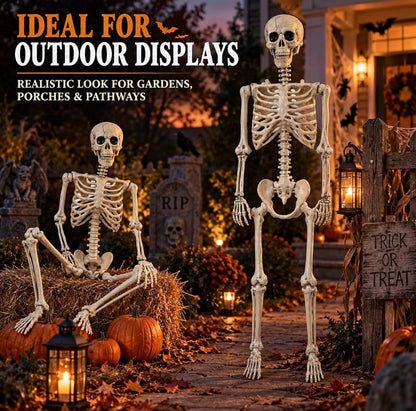 165cm Poseable Skeleton Halloween Decoration | Minja Superstore