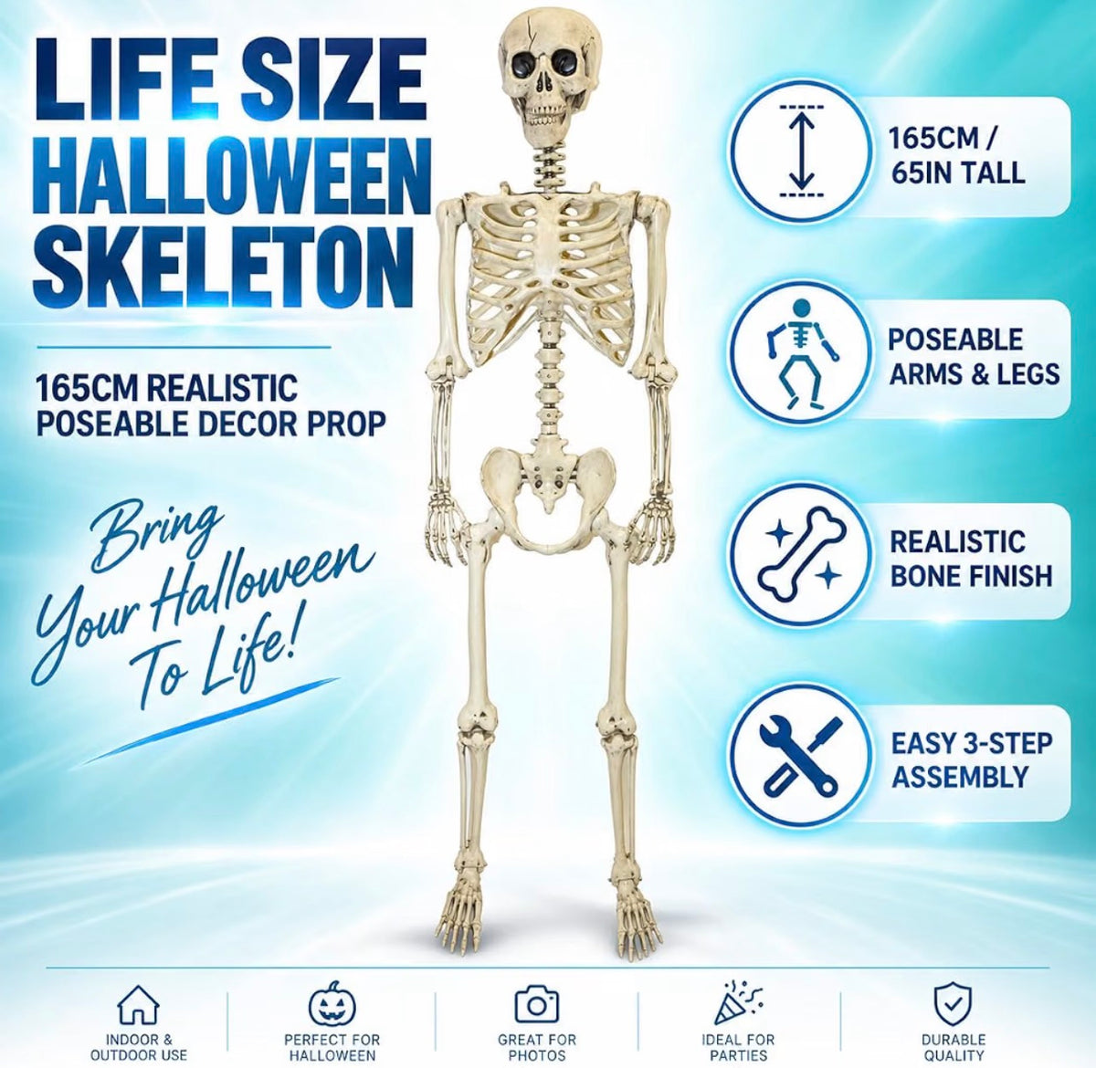 165cm Poseable Skeleton Halloween Decoration | Minja Superstore