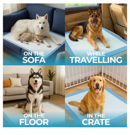 Extra Large Puppy Training Pads 90 × 70cm Pack of 60