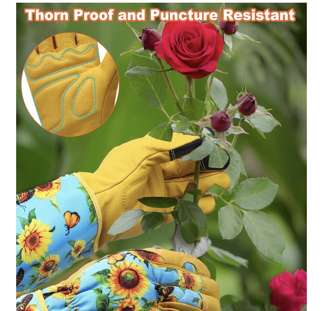 DLY Thorn-Proof Leather Gardening Gloves for Women with Forearm Protection