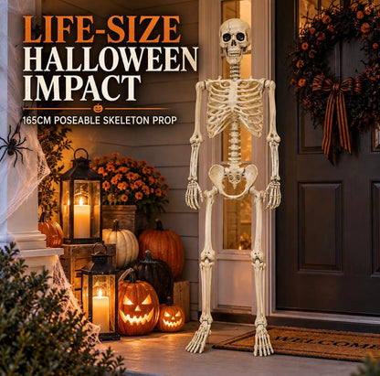 165cm Poseable Skeleton Halloween Decoration | Minja Superstore