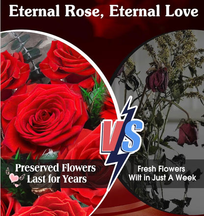 ADDWel 12 Forever Real Roses Bouquet, Fresh Flowers Delivery, Eternal Rose Gifts for Women, Wife, Girlfriend& Mum on Christmas, Valentine's Day, Anniversary& Mother's Day