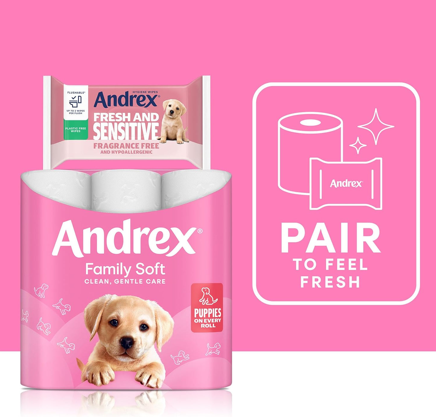Andrex. Family Soft Toilet Paper 24 Rolls (Previously  Gentle Clean) Gentle on Your Family’S Skin– Pack of 24 Toilet Rolls, 170 Sheets per Roll, FSC Certified