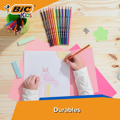 BIC Kids Evolution Coloured Pencils, Vivid Colouring Pencils, Easy to Sharpen, Extra Resistant  Pencils, School Supplies, 24 Pack