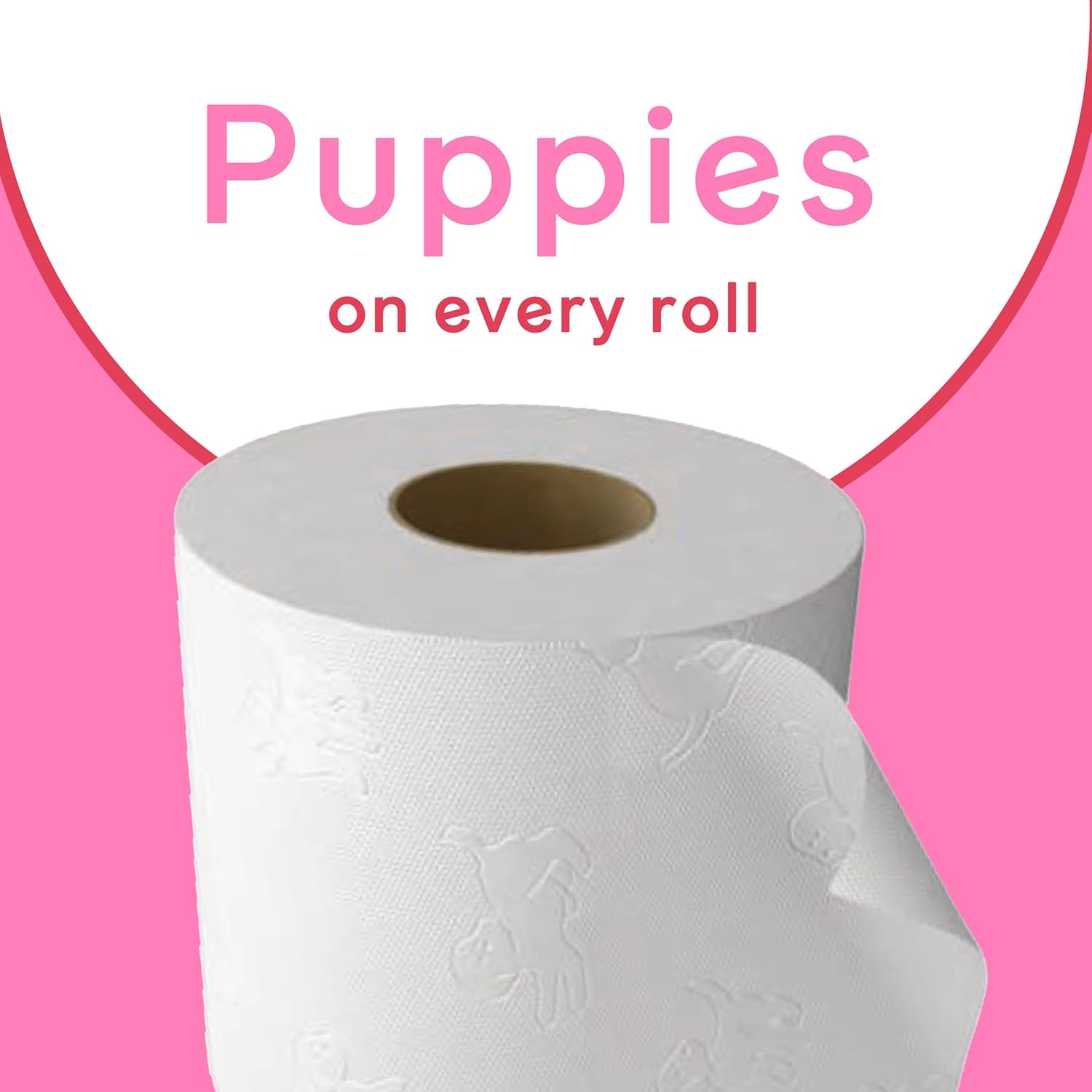 Andrex. Family Soft Toilet Paper 24 Rolls (Previously  Gentle Clean) Gentle on Your Family’S Skin– Pack of 24 Toilet Rolls, 170 Sheets per Roll, FSC Certified
