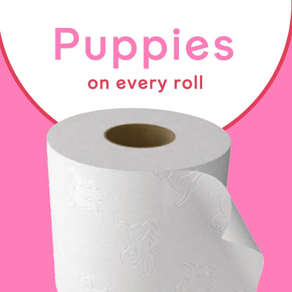 Andrex. Family Soft Toilet Paper 24 Rolls (Previously  Gentle Clean) Gentle on Your Family’S Skin– Pack of 24 Toilet Rolls, 170 Sheets per Roll, FSC Certified