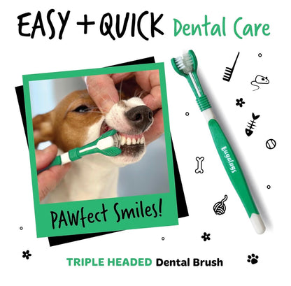 Bugalugs Dog & Cat Dental Care Kit Toothpaste Toothbrush Set