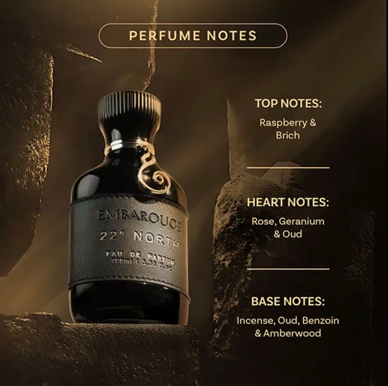 Embarouge 22 NORTH Men’s Eau de Parfum 100ml Raspberry Oud Amberwood