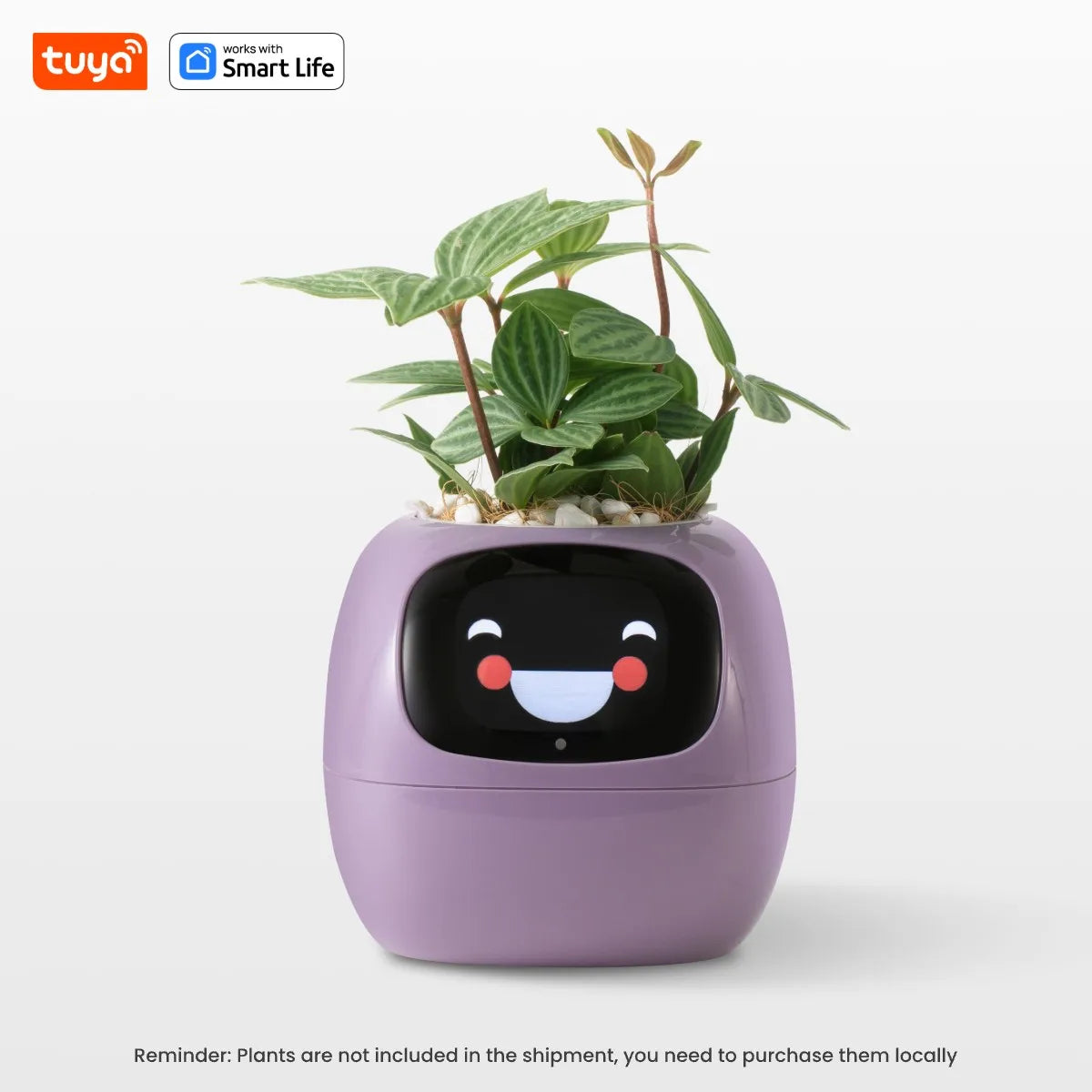 Tuya Ivy Smart Planter: Over 49 Expressions, 7 Advanced Sensors, and AI Technology for Seamless Plant Care