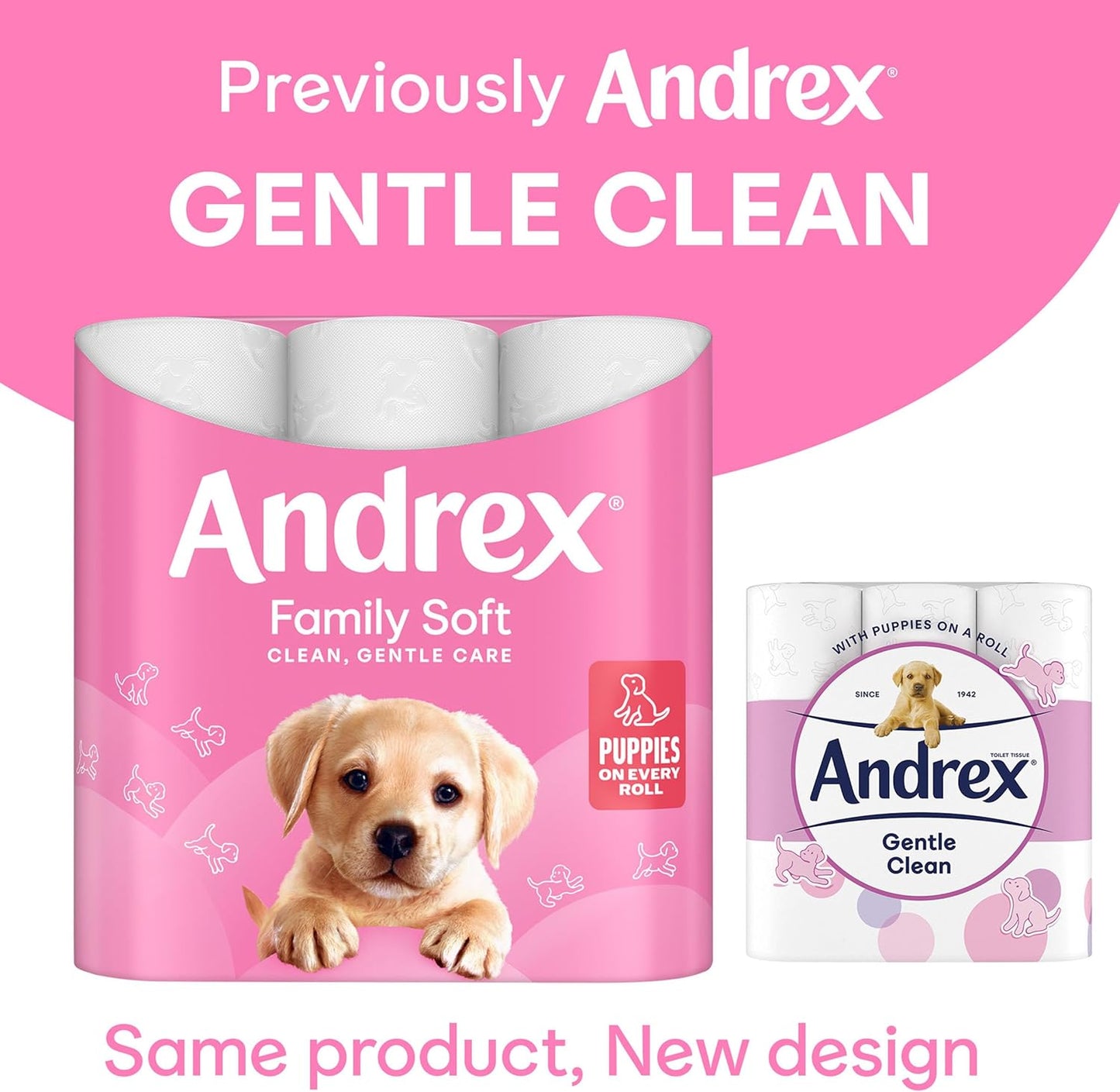 Andrex. Family Soft Toilet Paper 24 Rolls (Previously  Gentle Clean) Gentle on Your Family’S Skin– Pack of 24 Toilet Rolls, 170 Sheets per Roll, FSC Certified