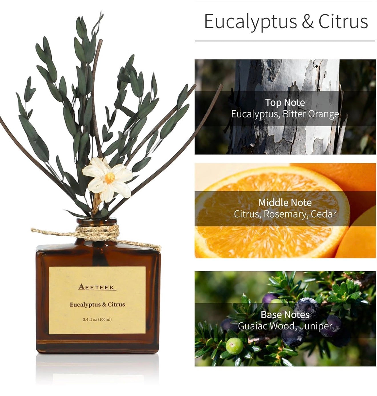 Eucalyptus Citrus Reed Diffuser