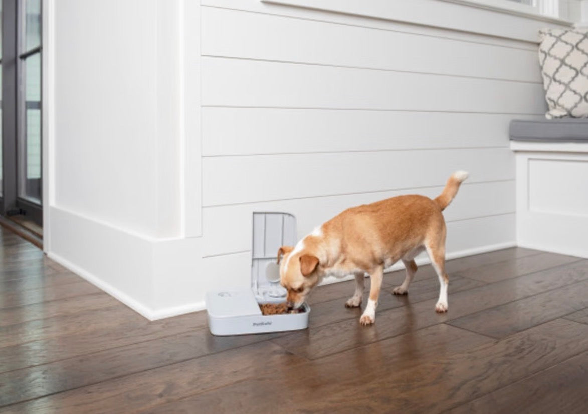 PetSafe 2 Meal Automatic Pet Feeder Grey