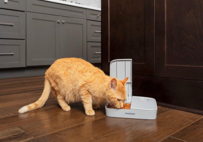 PetSafe 2 Meal Automatic Pet Feeder Grey