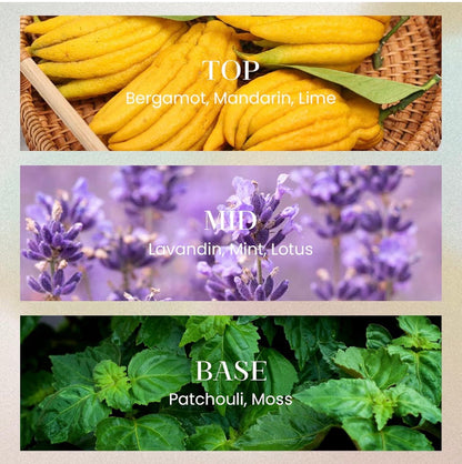 M&SENSE Lime Basil Reed Diffuser