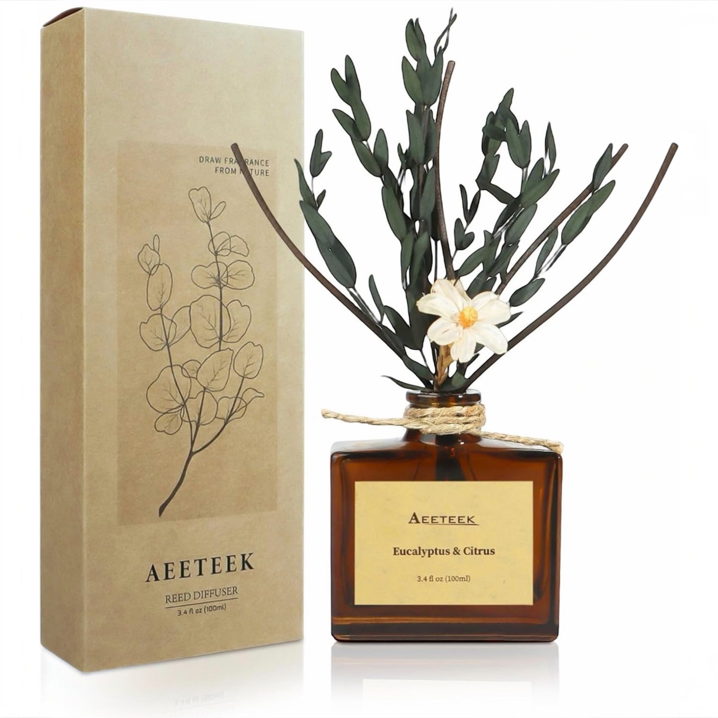 Eucalyptus Citrus Reed Diffuser