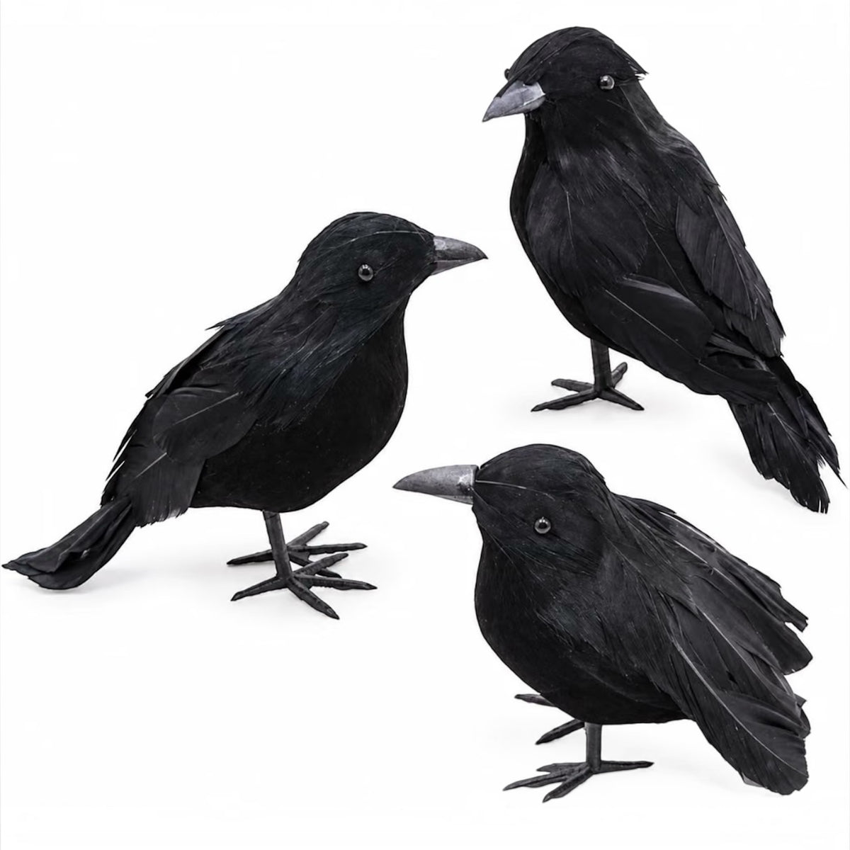 3-Pack Black Crow Halloween Decorations | Minja Superstore