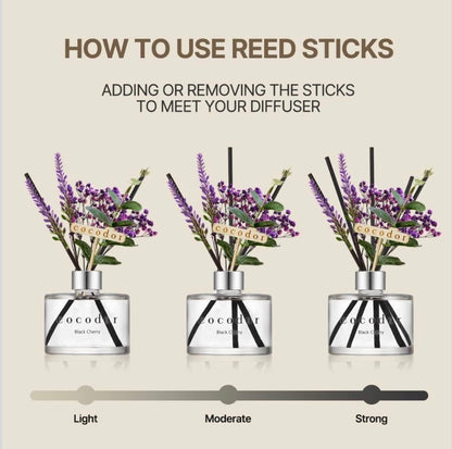 COCODOR Reed Diffuser 200ml