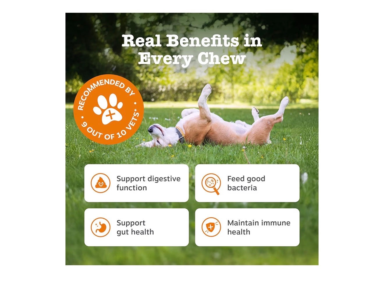 Zesty Paws Probiotic Chews for Dogs 90 Chews