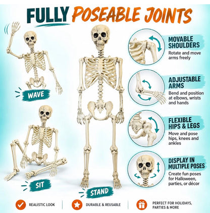 165cm Poseable Skeleton Halloween Decoration | Minja Superstore