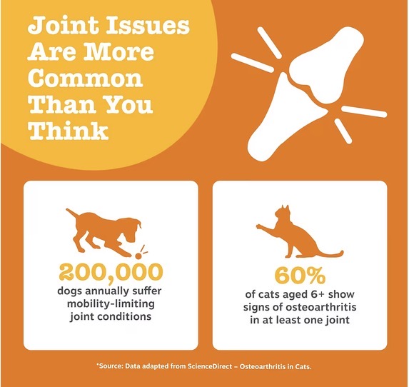 Zesty Paws Hip, Joint, Skin & Coat Salmon Oil for Cats & Dogs 250ml