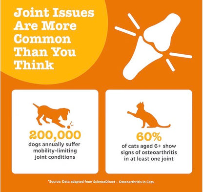 Zesty Paws Hip, Joint, Skin & Coat Salmon Oil for Cats & Dogs 250ml