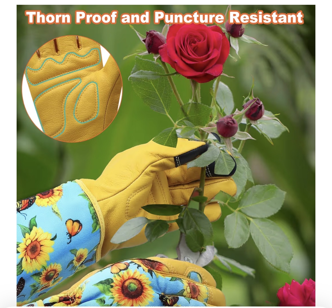 DLY Thorn-Proof Leather Gardening Gloves for Women with Forearm Protection