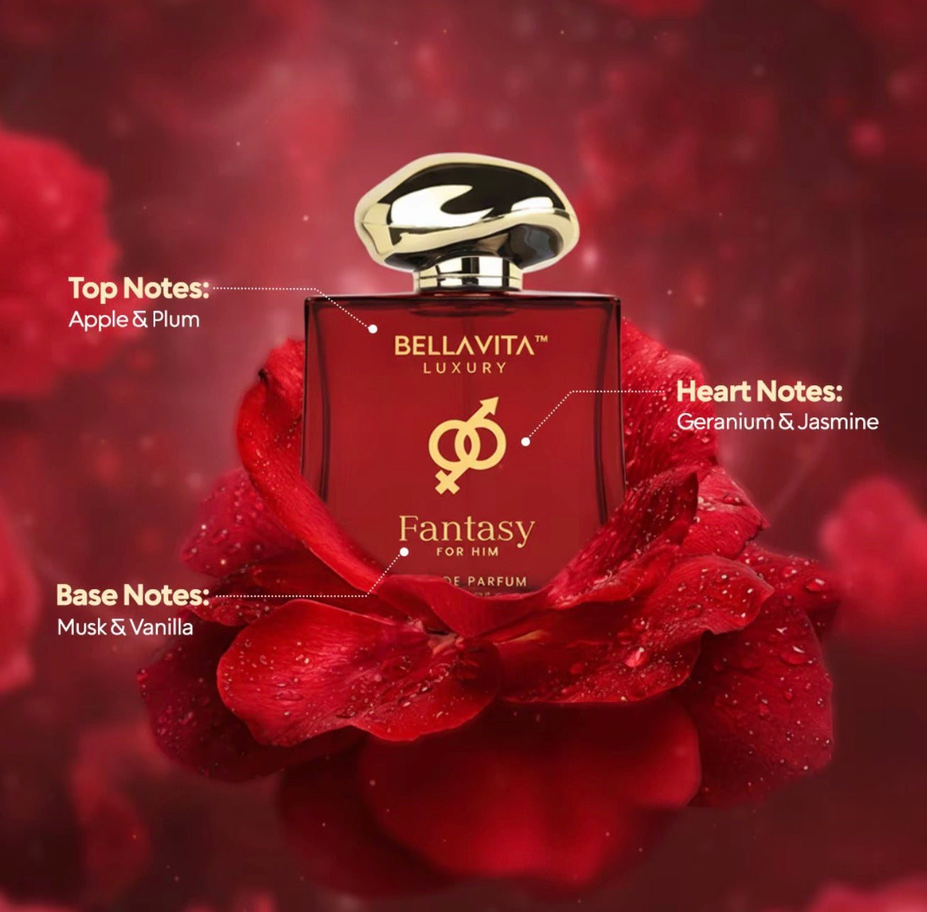 BellaVita Mood Collection Fantasy for Him EDP 100ml