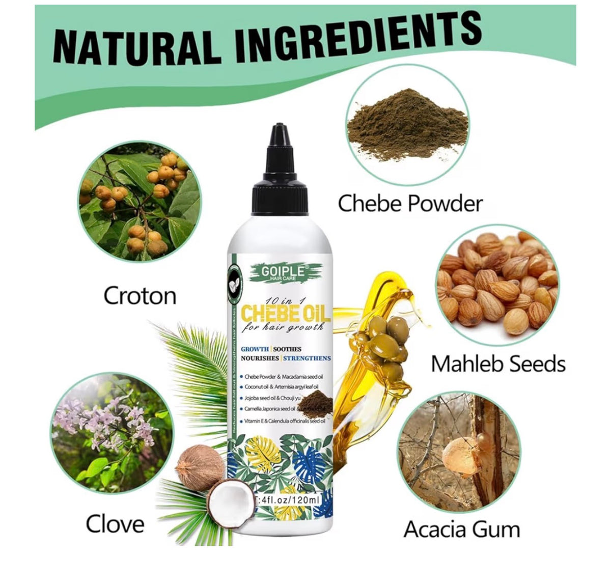 Natural Chebe Hair Oil for Hair Growth & Moisture | Chebe Scalp Oil
