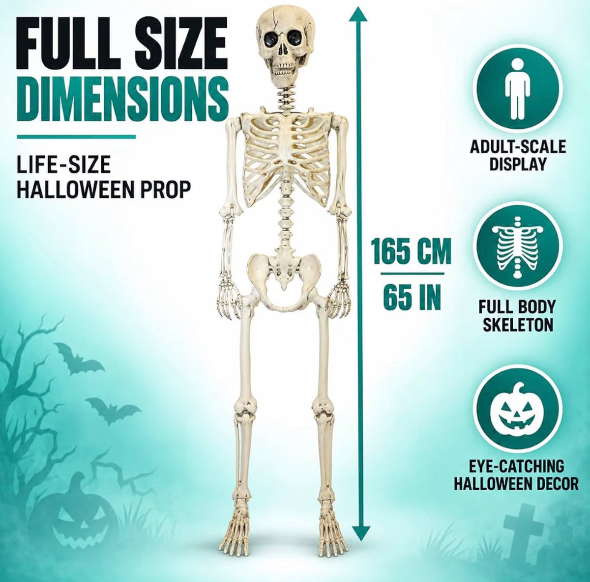 165cm Poseable Skeleton Halloween Decoration | Minja Superstore
