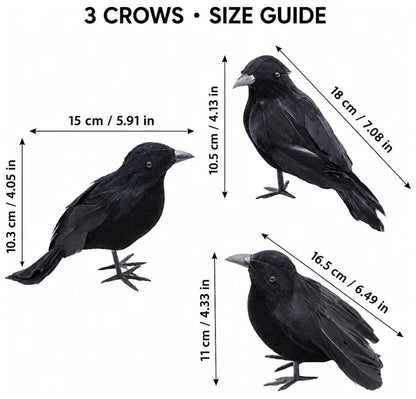3-Pack Black Crow Halloween Decorations | Minja Superstore