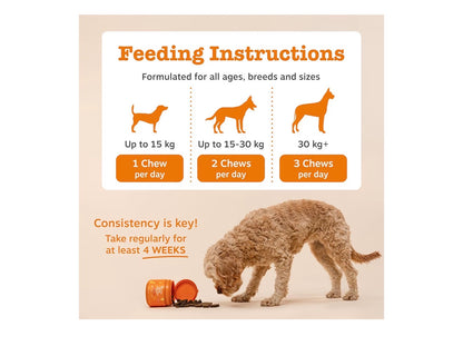 Zesty Paws Probiotic Chews for Dogs 90 Chews