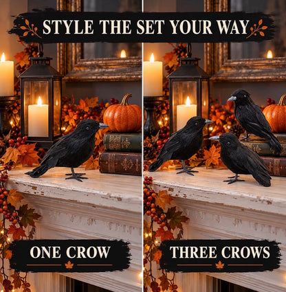 3-Pack Black Crow Halloween Decorations | Minja Superstore