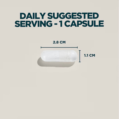 Myvitamins Zinc Magnesium Capsules with Vitamin B6 270