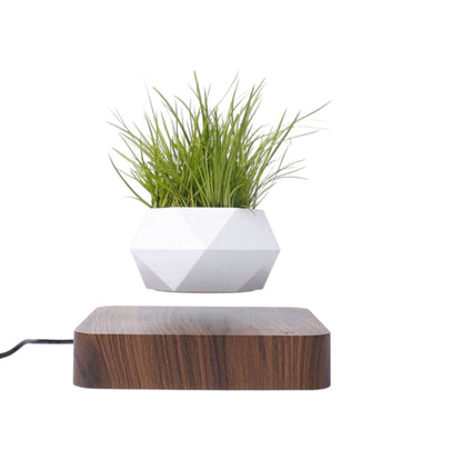 Levitation Plant Pot Floating Air Bonsai Pot Suspension Flower Pot Planter for Desk Decoration