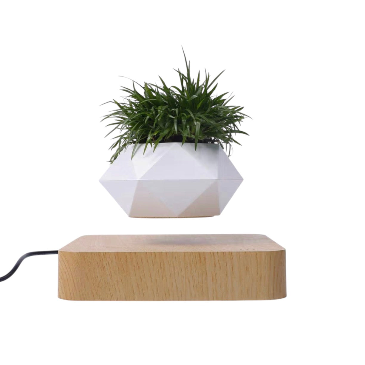 Levitation Plant Pot Floating Air Bonsai Pot Suspension Flower Pot Planter for Desk Decoration