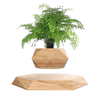 Levitation Plant Pot Floating Air Bonsai Pot Suspension Flower Pot Planter for Desk Decoration