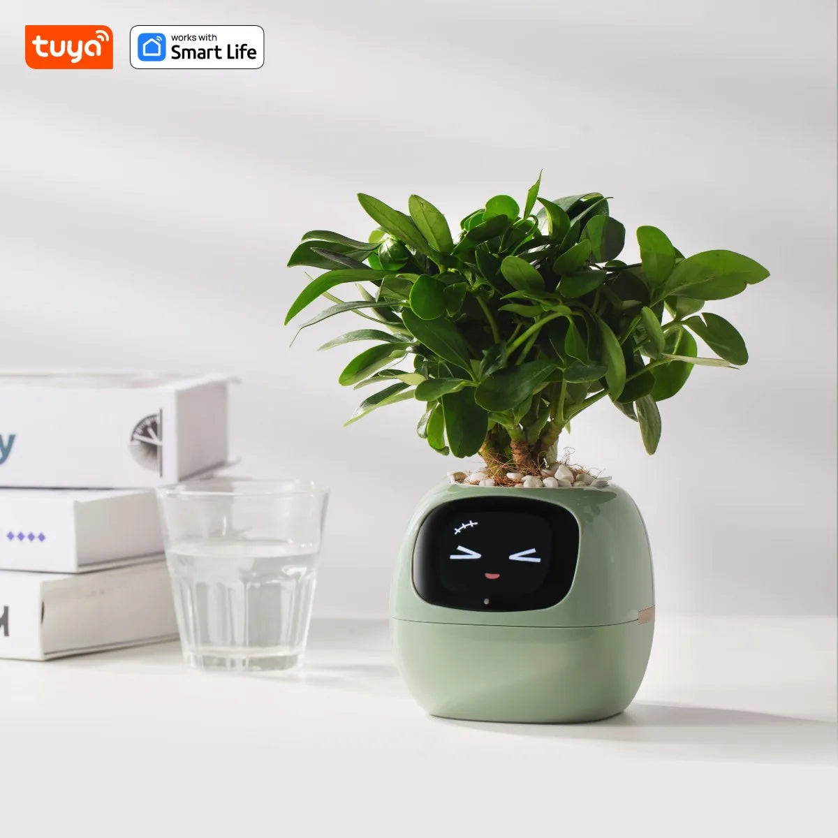 Tuya Ivy Smart Planter: Over 49 Expressions, 7 Advanced Sensors, and AI Technology for Seamless Plant Care