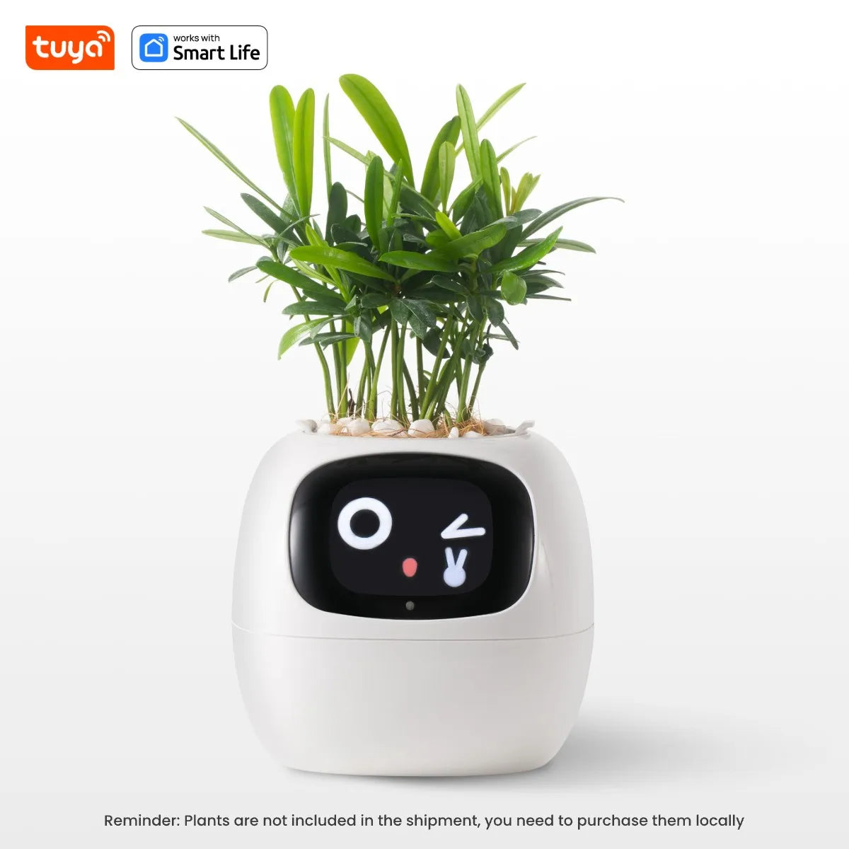 Tuya Ivy Smart Planter: Over 49 Expressions, 7 Advanced Sensors, and AI Technology for Seamless Plant Care