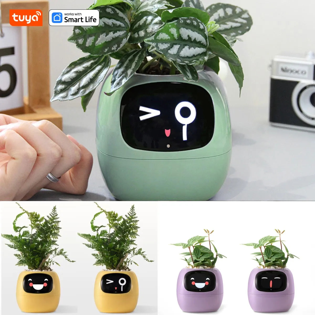 Tuya Ivy Smart Planter: Over 49 Expressions, 7 Advanced Sensors, and AI Technology for Seamless Plant Care