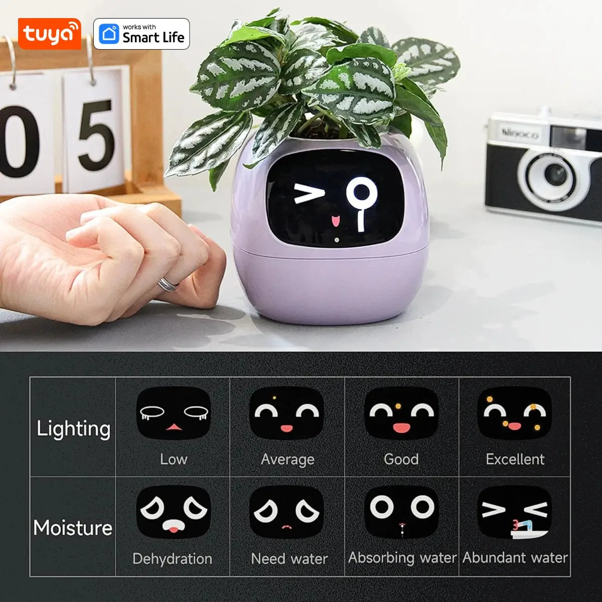 Tuya Ivy Smart Planter: Over 49 Expressions, 7 Advanced Sensors, and AI Technology for Seamless Plant Care