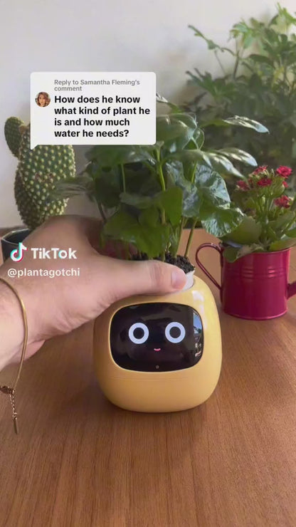 Tuya Ivy Smart Planter – 49+ Expressions, 7 Advanced Sensors & AI for Seamless Plant Care