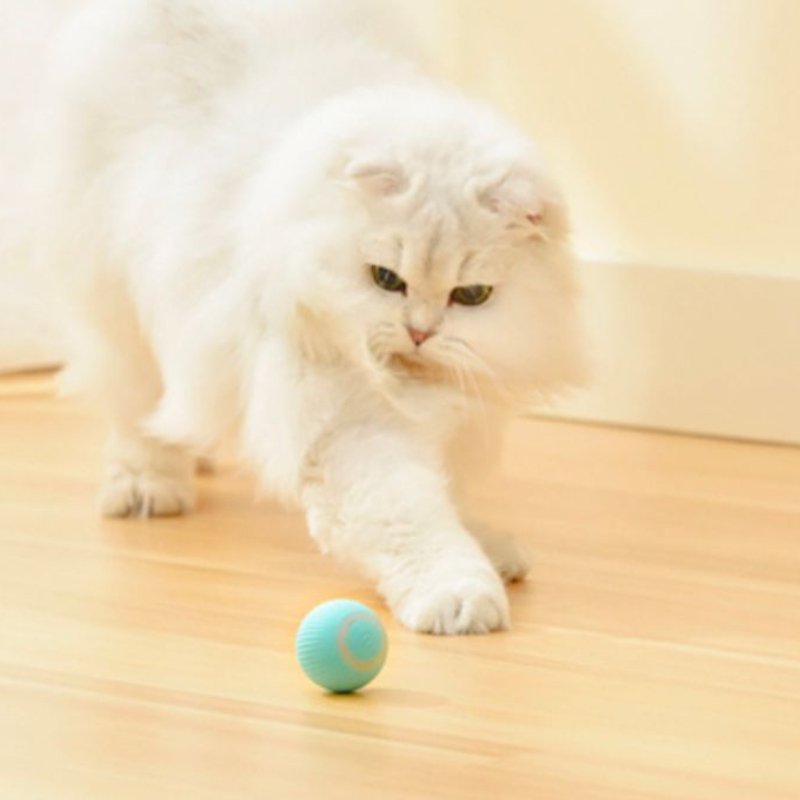 Smart Automatic Cat Teaser Ball